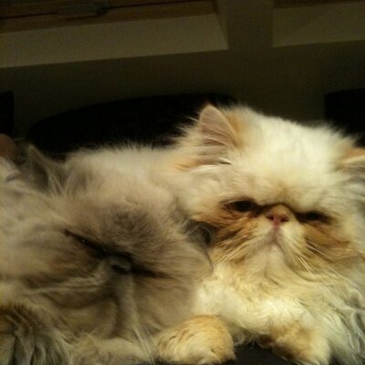 Profile Picture of Al Waring (@alliemc1) on Twitter
