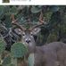 Profile Picture of Monico Lopez (@monico.lopez.378) on Facebook