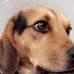 Profile Picture of Eric Maris (@eric.maris.716) on Facebook