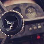 Profile Picture of stoiber alexander (@stoibi2140) on Instagram