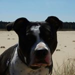 Profile Picture of Lara Tuinman (@laratuinman) on Instagram