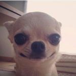 Profile Picture of Manny Gonzales Gonzales (@mannygonzalesgonzales) on Instagram