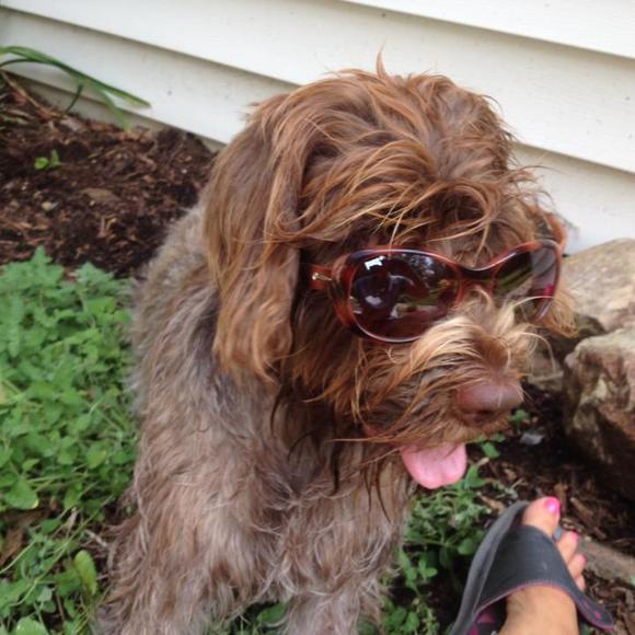 Profile Picture of Lisa Simpson (@rklisa) on Poshmark