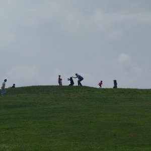 Profile Picture of Mark Sheedy (@MSheedyGG) on Twitter