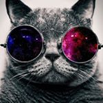Profile Picture of Timothy Ramirez (@seraphicgg) on Instagram