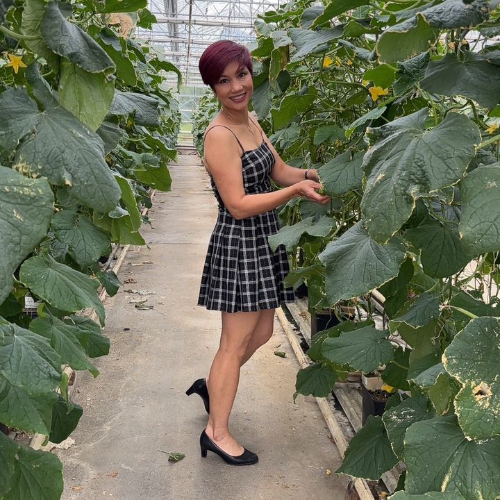 Profile Picture of Bich Nguyen (@bichnguyen383) on Tiktok