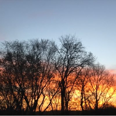 Profile Picture of Holly Boyd (@@hollyboyd1127) on Twitter