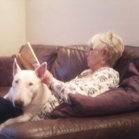 Profile Picture of Allison Perry (@allison-perry-5) on Quora