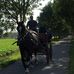 Profile Picture of Olivier Declercq (@olivier.declercq.146) on Facebook