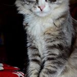 Profile Picture of brooklyn jimenez (@brooklyn57031ksj) on Instagram