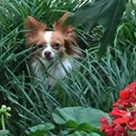 Profile Picture of Judy Laird (@laird.judy) on Instagram