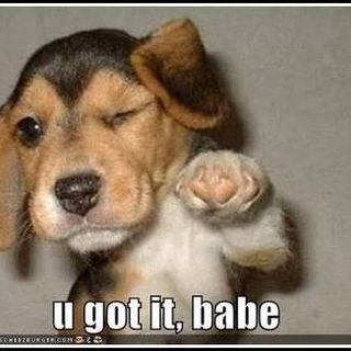 Profile Picture of Janet Bayden (@janet.bayden) on Facebook