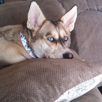 Profile Picture of Barry Hurt Jr. (@bhurtjasper) on Twitter