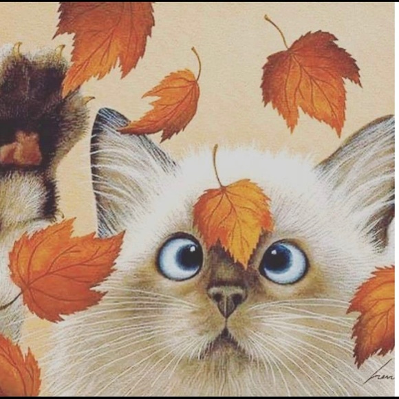 Profile Picture of Hailey Meese (@itsnotme675) on Poshmark