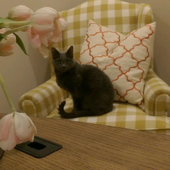 Crystal Favret - Poshmark Profile Picture of Crystal Favret (@baileyweaver1) on Poshmark