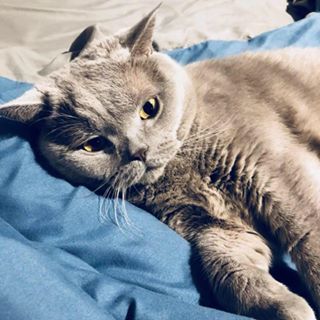 Profile Picture of Yujun Liu (@yujun.liu.921) on Facebook