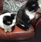 Profile Picture of Stacy Bavin (@Stacy-Bavin) on Facebook