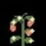 Profile Picture of bailey downing (@baileydown07) on Instagram