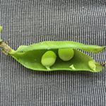 Robert Soucie - Instagram Profile Picture of Robert Soucie (@rmsoucie) on Instagram