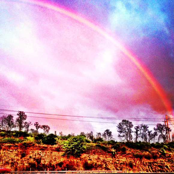 Profile Picture of Ashley Wilczak (@wilczakash) on Poshmark