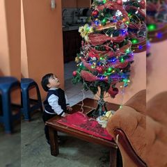 Profile Picture of yolita (@yolandapallares6) on Tiktok