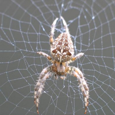 Profile Picture of James Snipe (@Snipe00) on Twitter