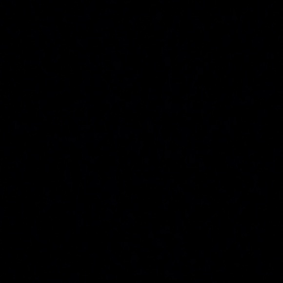 Sebastian Avila - Poshmark Profile Picture of Sebastian Avila (@avilabass07) on Poshmark