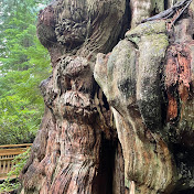 Profile Picture of Sonja Pearson (@sonjapearson1018) on Youtube