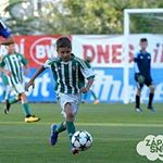 Profile Picture of David Stehlík (@david.stehlik_) on Instagram