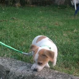 Profile Picture of Nicholas Marsilio (@Nicholas060605) on Twitter