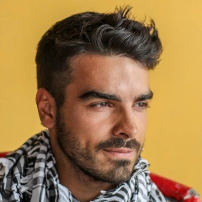 Profile Picture of Pedro Araújo (@pedrospective) on Twitter