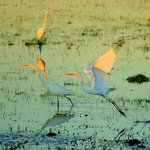 Profile Picture of Eric McDaniel (@ericmcdaniels) on Instagram