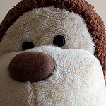 Profile Picture of Robert Robertson (@rab robertson) on Flickr