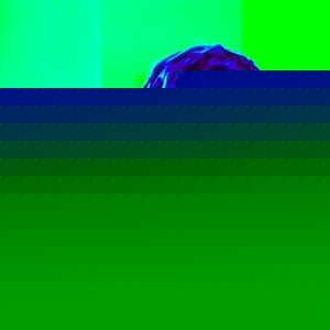 Profile Picture of Nicholas Titus (@thenexttravisbarker58) on Myspace