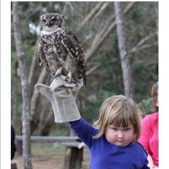 Profile Picture of Kari Ehrmantraut (@ktraut1) on Poshmark