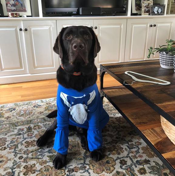 Profile Picture of Jennifer Pfisterer (@jpgisterer2) on Poshmark