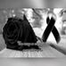 Profile Picture of Hugo Alcocer (@hugo.alcocer.581) on Facebook