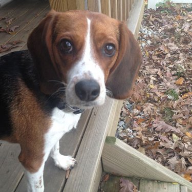 Profile Picture of Kurt (@KurtisGeorge) on Twitter