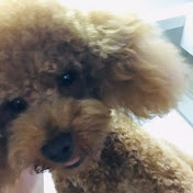 Profile Picture of Yoyo Zhang (@yoyozhang6155) on Youtube