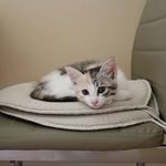 Profile Picture of Erin Cuttings (@margot.hope) on Instagram