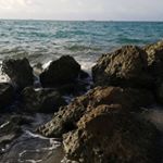 Profile Picture of April Patrick Davis (@apatdav) on Instagram