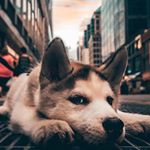 Profile Picture of Andres_zuleta (@andres_zuleta76) on Instagram