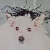 Profile Picture of Alex Allaire (@alexallaire6705) on Youtube