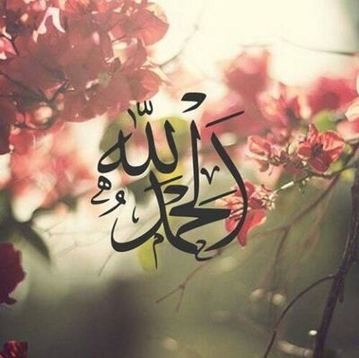 Profile Picture of Reham Ahmed (@rehamahmed744) on Twitter