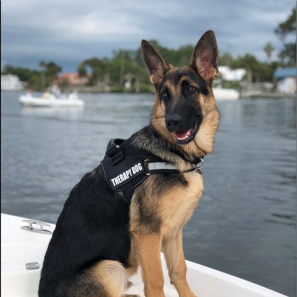 Profile Picture of Kirsten Rozecki (@kirstenrozecki) on Poshmark