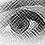 Profile Picture of Stephanie Schroeter-Frymyer (@Stephanie Frymyer) on Flickr