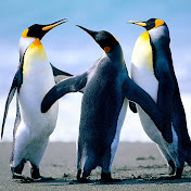 Gloria Zuleta - Youtube Profile Picture of Gloria Zuleta (@glorita914) on Youtube