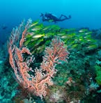 Profile Picture of Darren Spellman (@Darren-Spellman) on Facebook