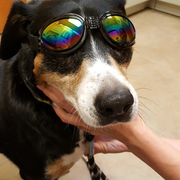 Karen Schwaeber - Poshmark Profile Picture of Karen Schwaeber (@karenroyce) on Poshmark