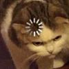 Profile Picture of Casey Hixson (@@_caseyhixson_) on Tiktok